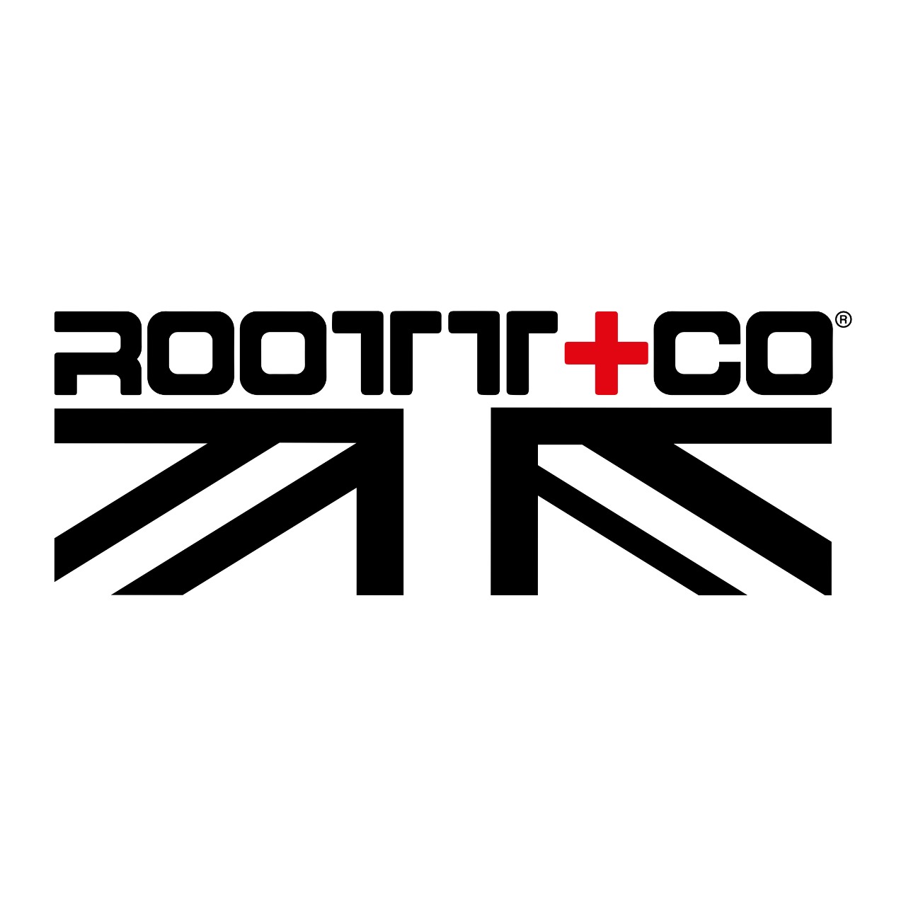 Logo de Roott+Co